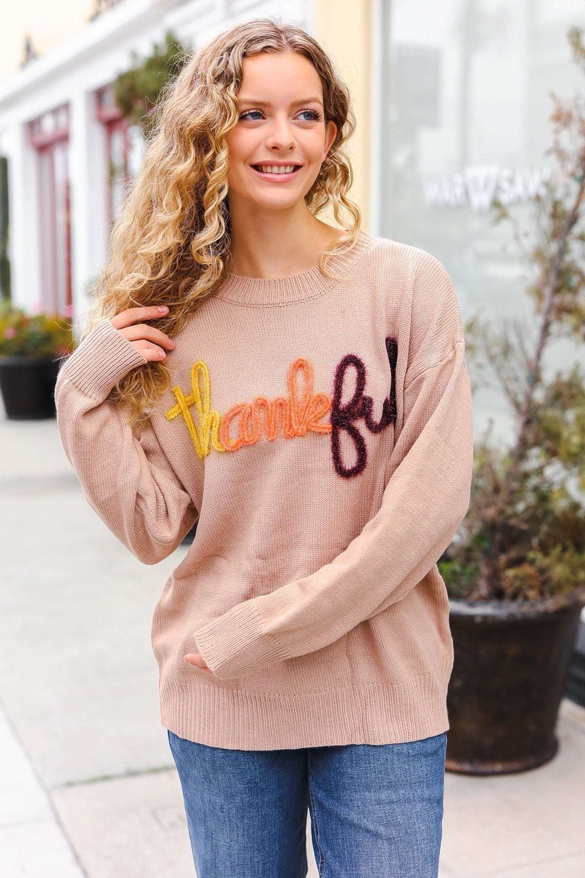 Aida® | Feeling Thankful pop-up sweater with sparkly embroidery in taupe