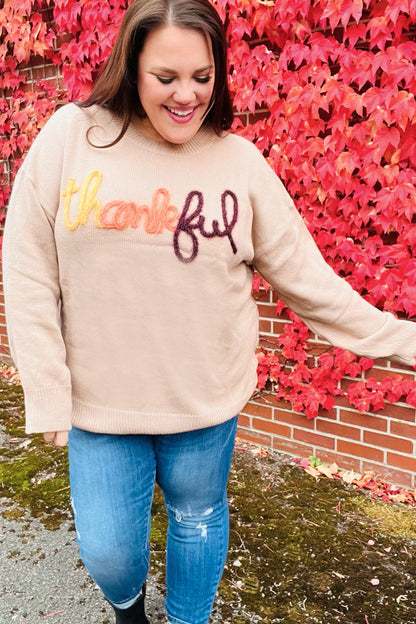 Aida® | Feeling Thankful pop-up sweater with sparkly embroidery in taupe