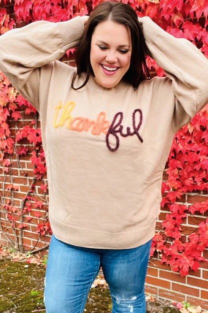 Aida® | Feeling Thankful pop-up sweater with sparkly embroidery in taupe