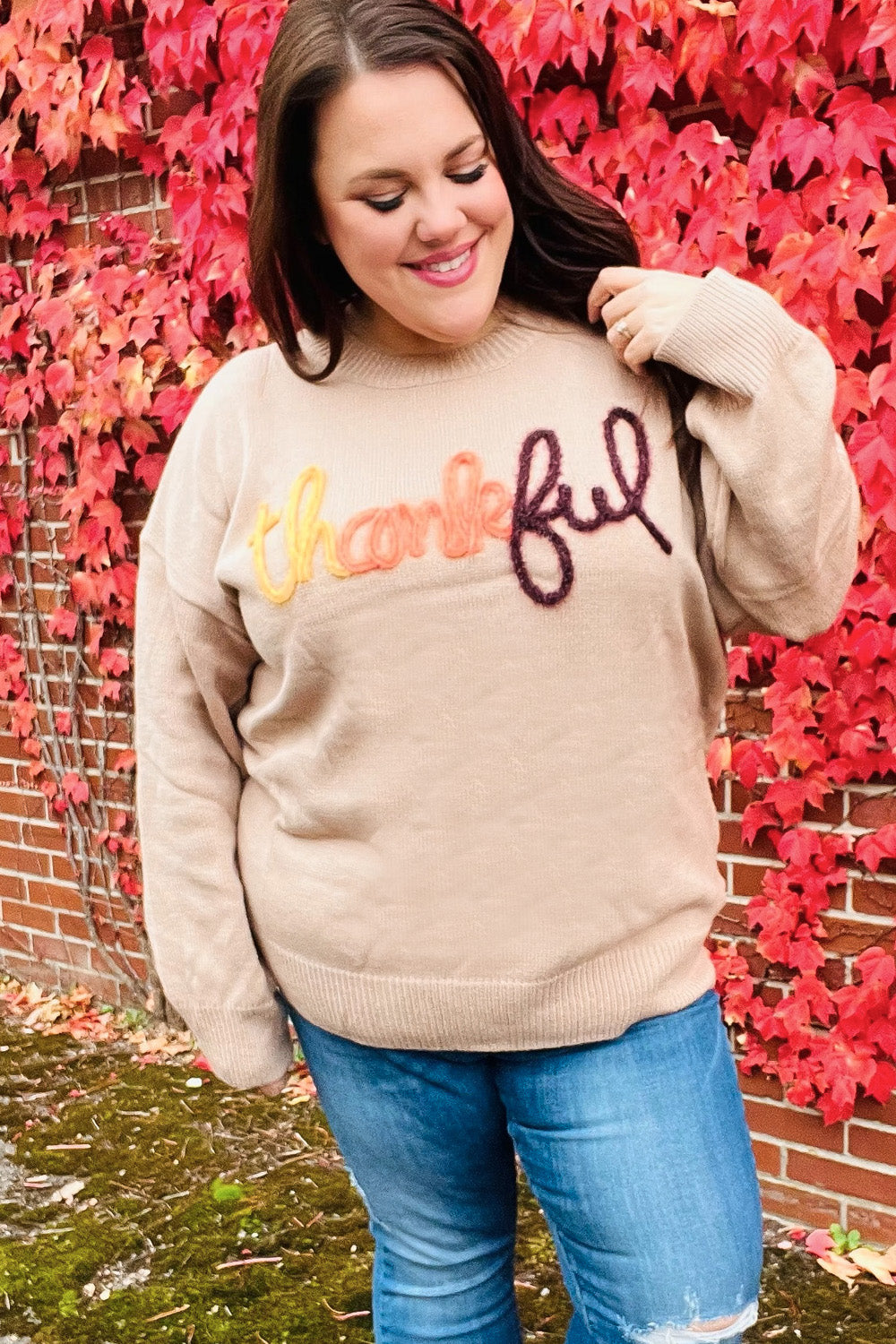 Aida® | Feeling Thankful pop-up sweater with sparkly embroidery in taupe