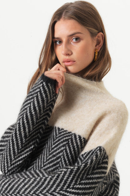 Tamara® | Two-tone cotton turtleneck sweater